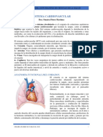 Fisiología Cardiovascular