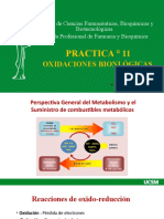 Pract11 - Oxidaciones Biologicas