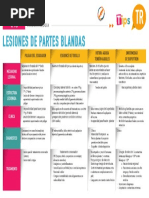 Lesiones de Partes Blandas