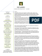 Curriculum Vitae Pop - Andrei - EN 2