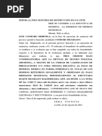 Proceso Ejecutivo