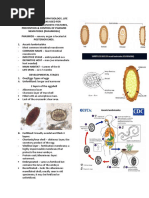 Morphology para Lec 2