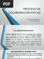 Proceso de Colaboracion Eficaz