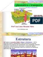 Membrana Plasmática Transporte Funções Propriedades