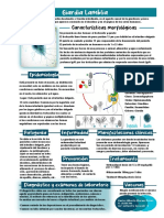 Laminario Giardia Lamblia