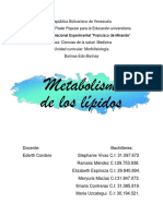 Metabolismo de Los Lipidos