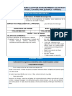 2023 Ecología Oral Reporte de Laboratorio 4P1