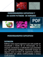 Microorganismos Especificos en Humanos