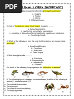 Moasser All Tests On Unit Two 2nd Term