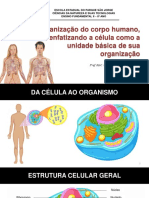 Aula 1 - A Organização Do Corpo Humano, Enfatizando A Célula Como A Unidade Básica de Sua Organização