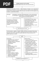 Edema Pulmonar Cardiogenico Cuadros