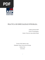 Informe de Practica de Especialidad Integrada