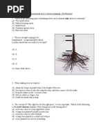 Tree-Planting - Assessment Tool