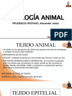 Histología Animal