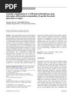 Genomic Organization of A UDP-glucosyltransferase Gene Determines Differential Accumulation of Specific Flavonoid Glucosides in Tepals