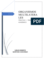 Carlos Roberto Quintana Cusicanqui-Gestion Financiera