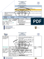 3ro Primer Trimestre