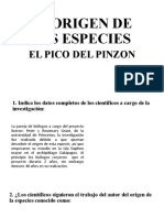 El Origen Del Ave Pinzon Trabajo Grupal