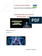 Revista Enfermedades Del Sistena Respiratorio Claudio Caqui Nora