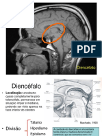 DIENCEFALO