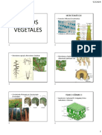 Tejidos de Tipo Vegetal