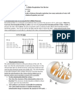 Cellular Respiration Test Review 2022pdf