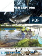 Fish Capture