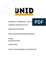 Proyecto Desarrollo Cognitivo