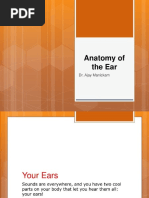 Anatomy of Ear