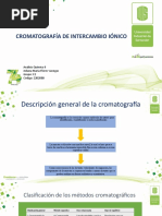 Cromatografía de Intercambio Iónico