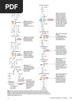 Biology 12-Chapter 4 Page 173