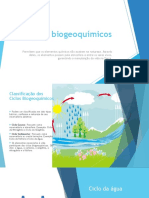 Ciclos Biogeoquímicos