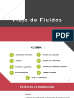 Clase 10. Pérdidas Por Fricción - Forma y Expansión