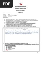 Practica Calificada 1 Geologia