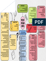 Mapa Mental Microorganismos 1