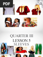 Quarter III Lesson 4.1 Sleeves