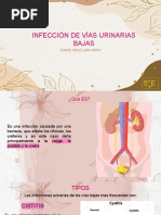 Infecciones Urinarias