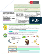 13-06 - Cyt - Cadena Alimenticia