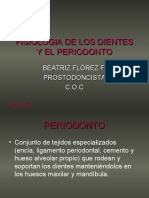 Fisiologia de Los Dientes y El Periodonto