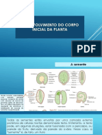 Germinação