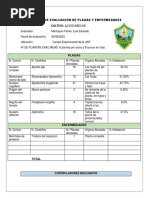 Planilla de Evaluación de Plagas y Enfermedades