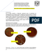 8,9.-Medios de Cultivo para Enterobacterias