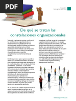 De Que Tratan Las Constelaciones Organizacionales