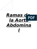 Aorta Abdominal