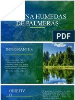 Sabana Humedas de Palmeras