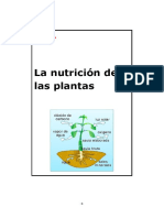 Tema 11. La Nutrición de Las Plantas