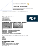 Niveles de Organizacion