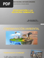 Contaminación Ambiental