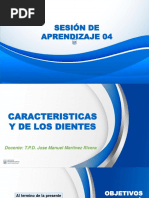 Sesión 4 - Anatomia y Fisiologia Bucodentaria CARACTERISTICAS de LOS DIENTES