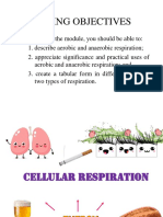 Cellular Respiration